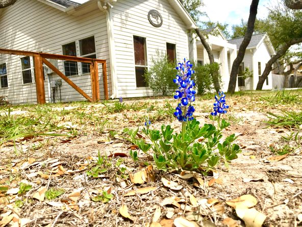 Twisted Oak Work Suites: 1806 Harbor Dr, Rockport, TX 78382